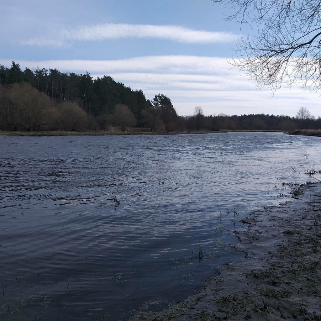 Для чего нужны длинные болонки и как ими ловить (4).jpg